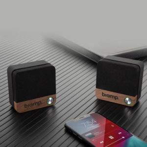 Wooden Speakers